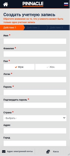 Регистрационная анкета у букмекера Pinnacle