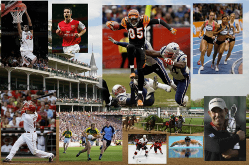 Конкуренция видов спорта