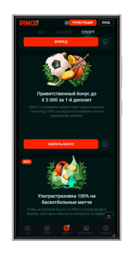 Доступные бонусные программы в БК Пинко