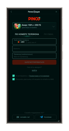 Регистрационная анкета в конторе Пинко